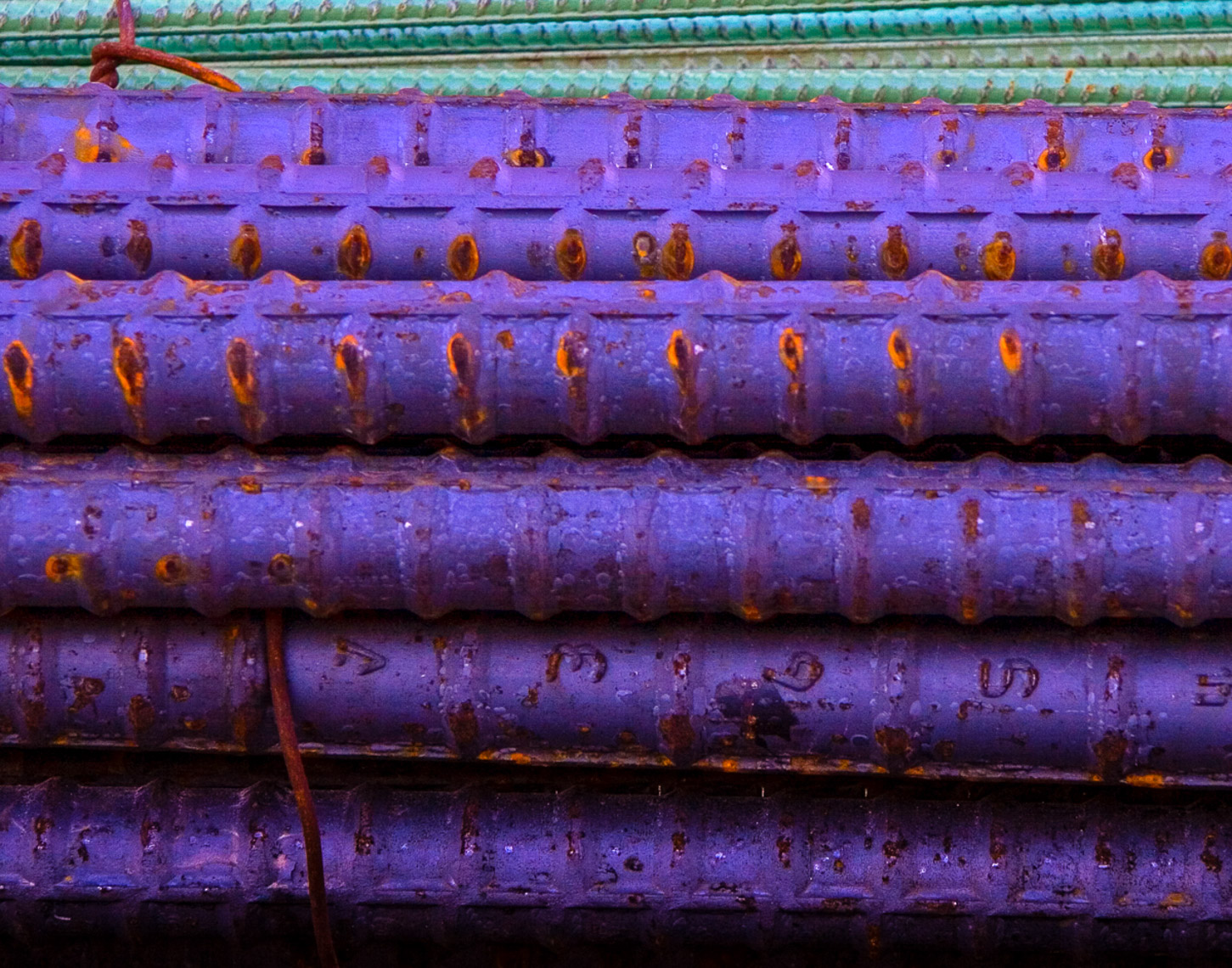 RebarPurpleGreen14x11300VV2-67_MG_234035