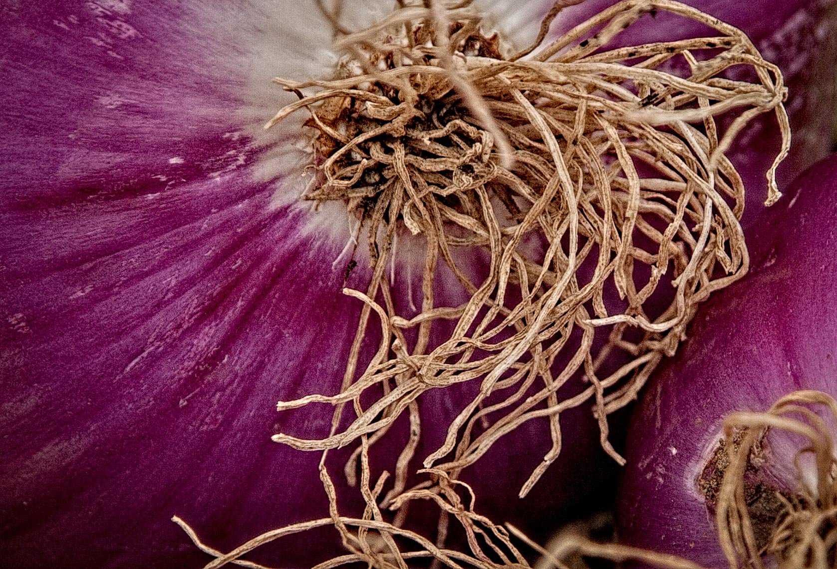 _MG_5826-Edit